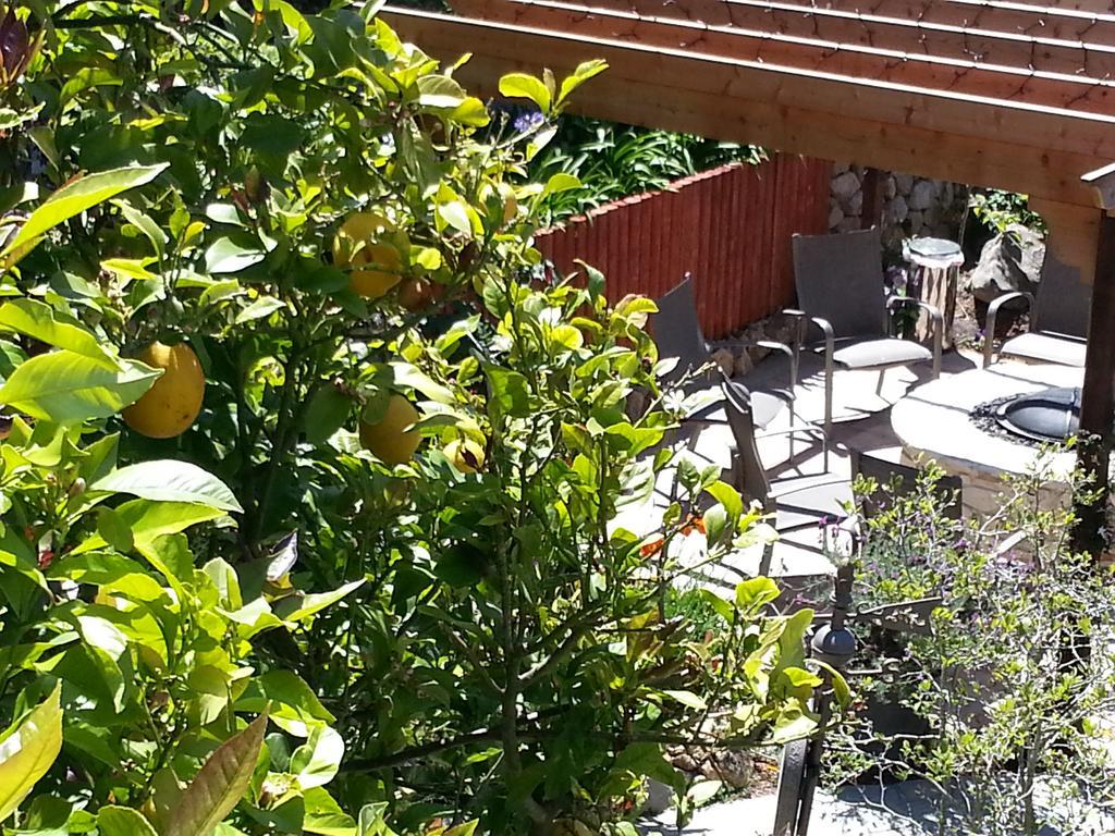 The Vendange Carmel Inn & Suites Dış mekan fotoğraf